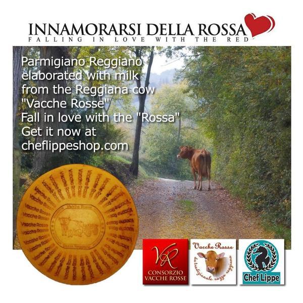 "Vacche Rosse" Parmigiano Reggiano Half Wheel. 24 months 46lb-Chef Lippe Shop